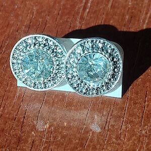 Sparkling Silver Tone And Rhinestone Stud Earrings